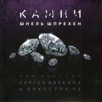 Шнель Шпрехен - Камни (2010)