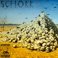 Schokk - Operation Payback (2011)